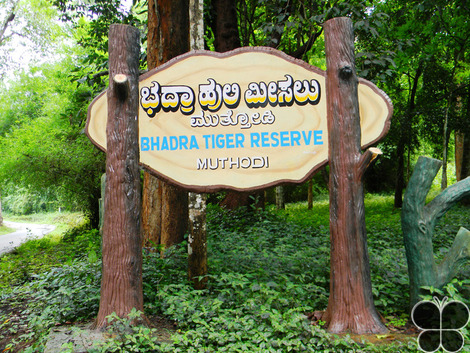 Bhadra Wild Life Sanctuary